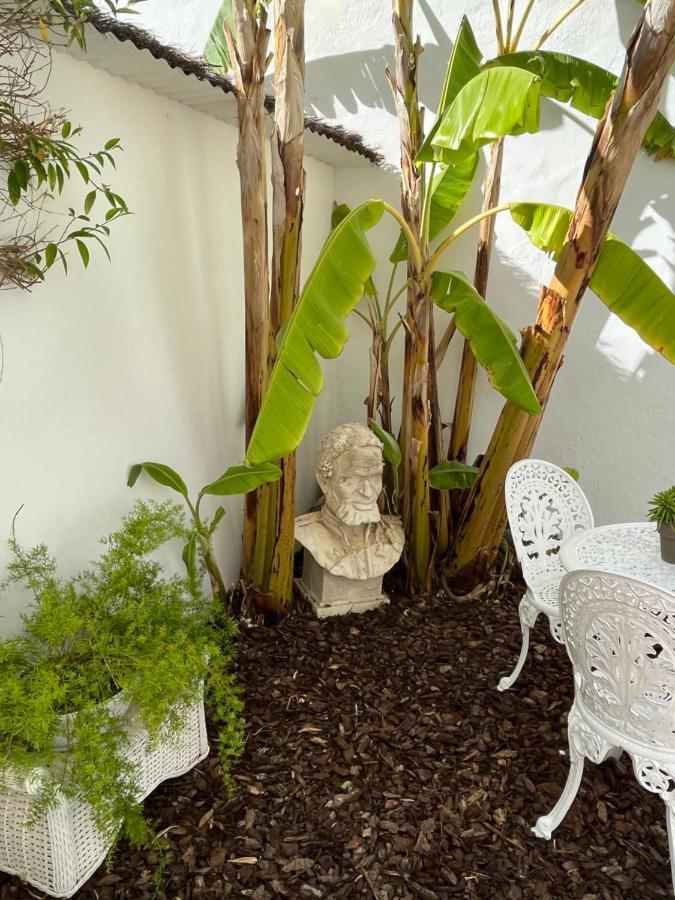 Estudio A 10 Minutos Del Puerto Banus 에스테포나 외부 사진